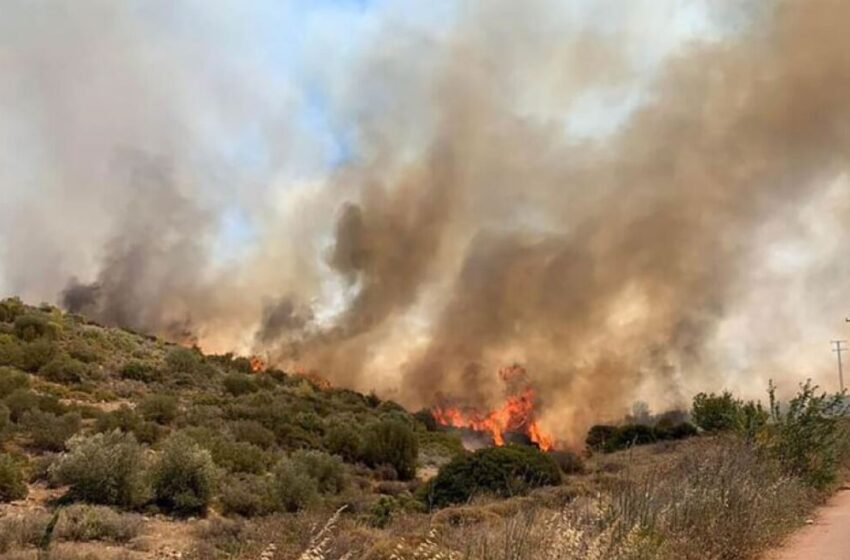  Κρίσιμες οι επόμενες 5 ώρες για την κατάσβεση της φωτιάς στη Δυτική Αττική